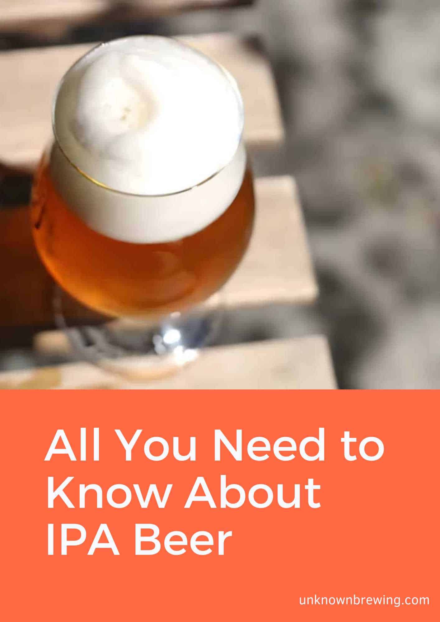 All You Need to Know About IPA Beer