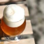 All You Need to Know About IPA Beer
