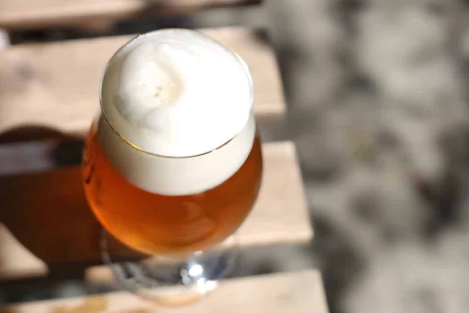 All You Need to Know About IPA Beer