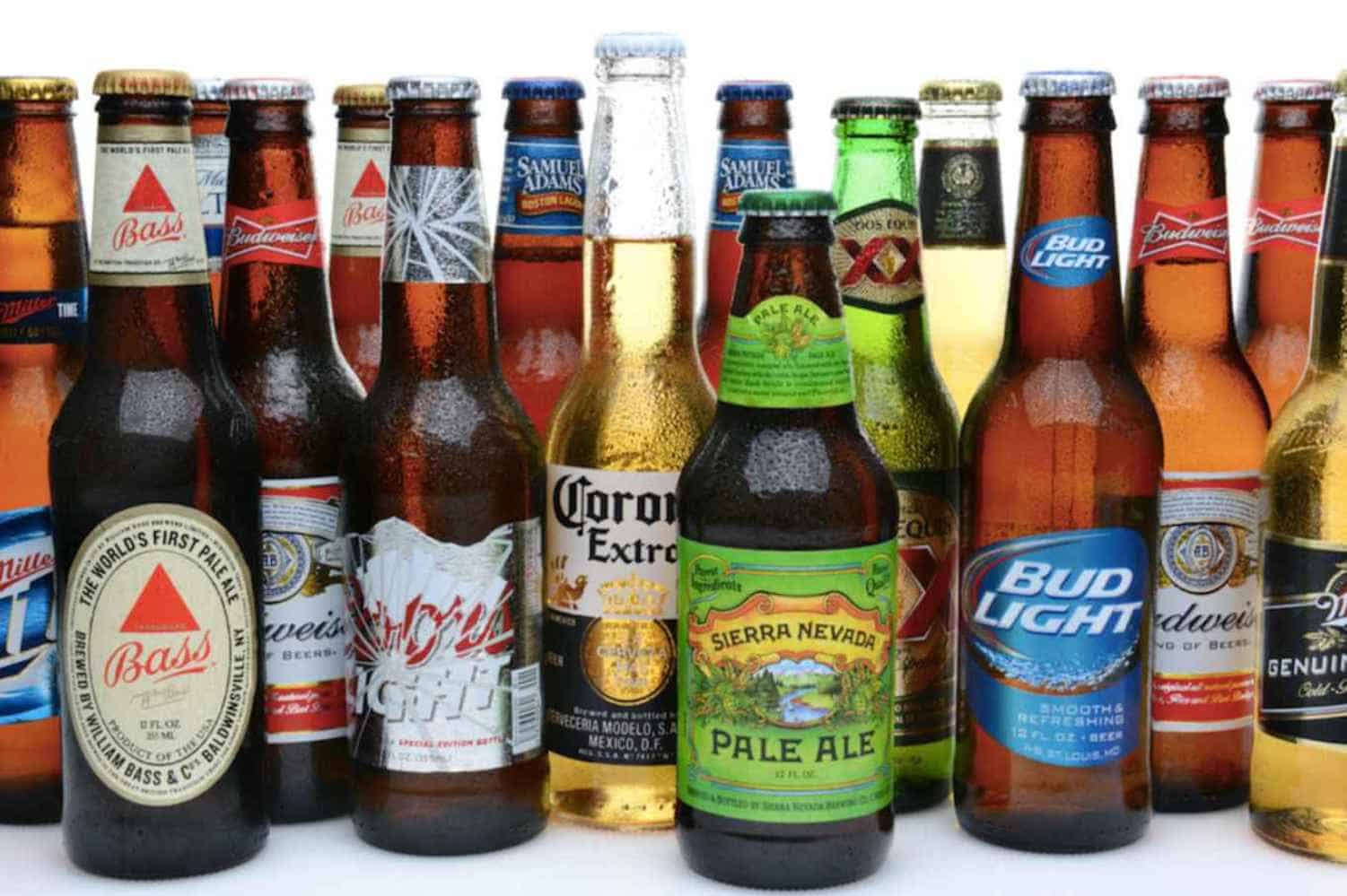 Best Brands for Light Beer