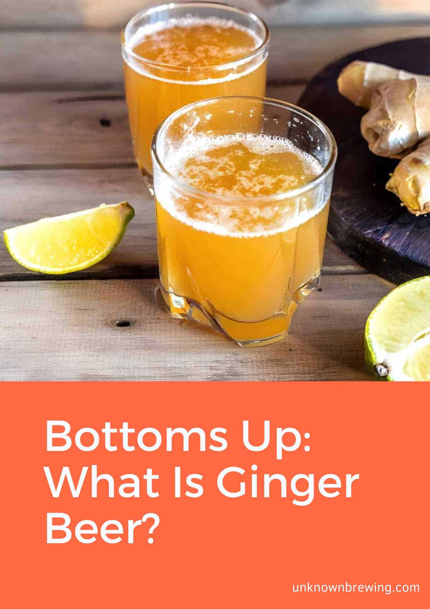 Bottoms Up What Is Ginger Beer