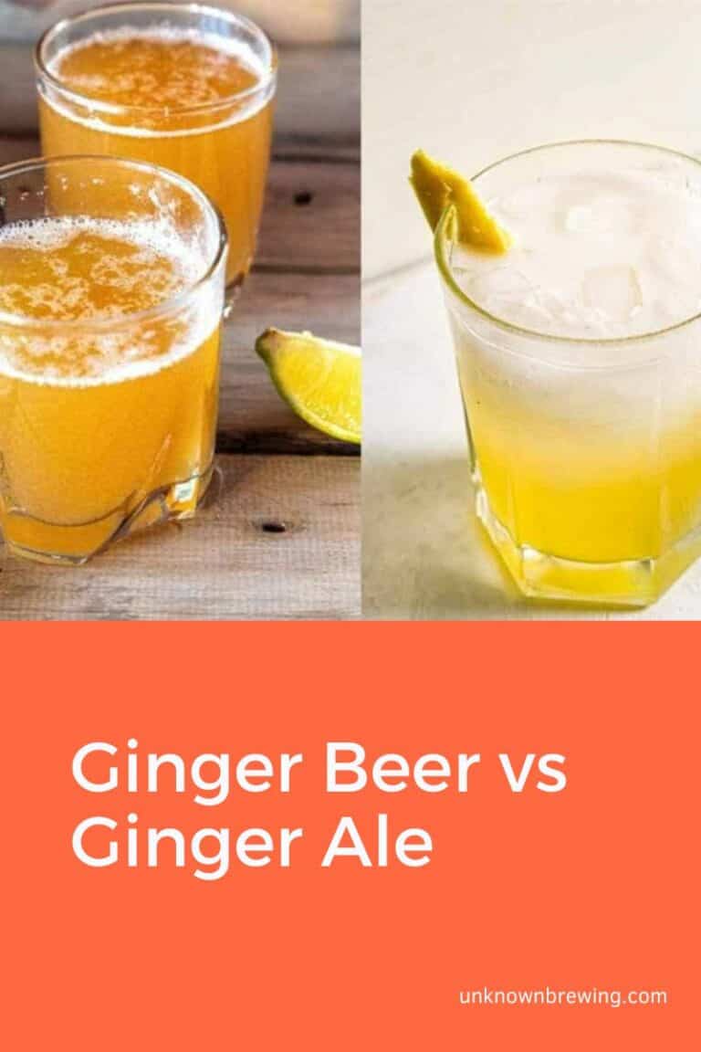 Ginger Beer vs Ginger Ale Their Difference Put To Test