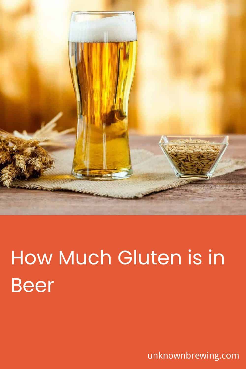 How Much Gluten is in Beer