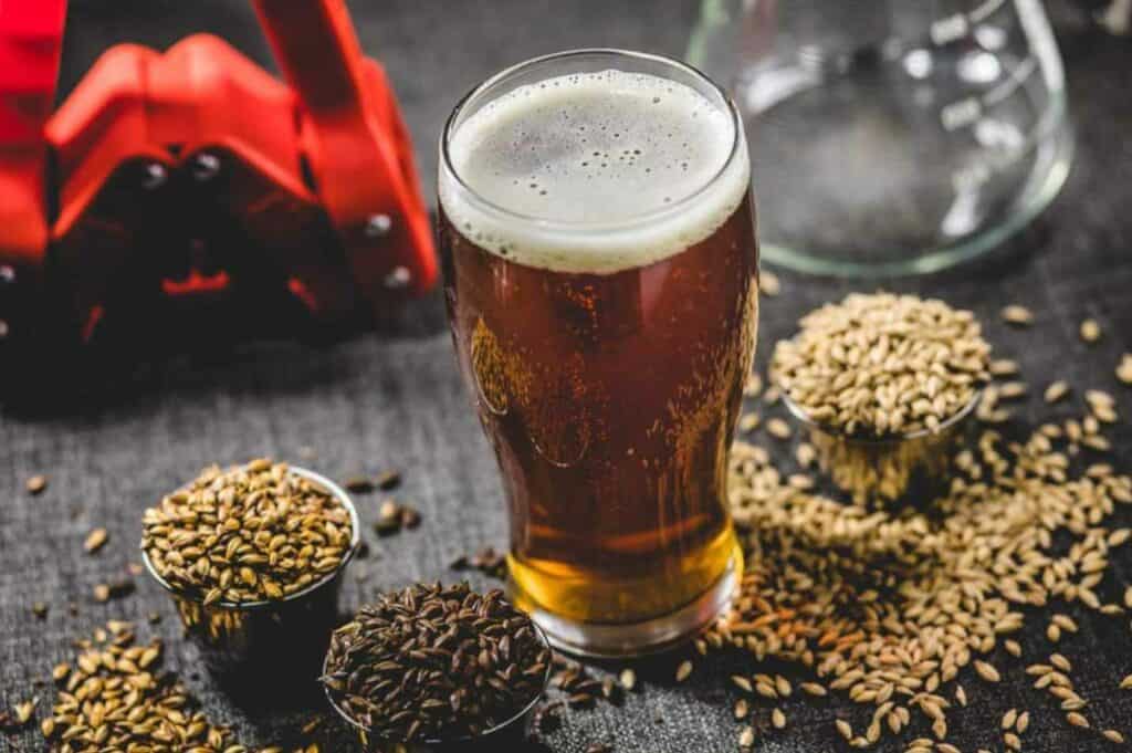 Kolsch Beer Guide Taste, Brewing, Serving, Food Pairings