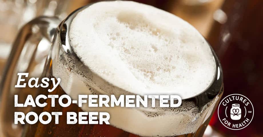 Lacto-Fermented Root Beer