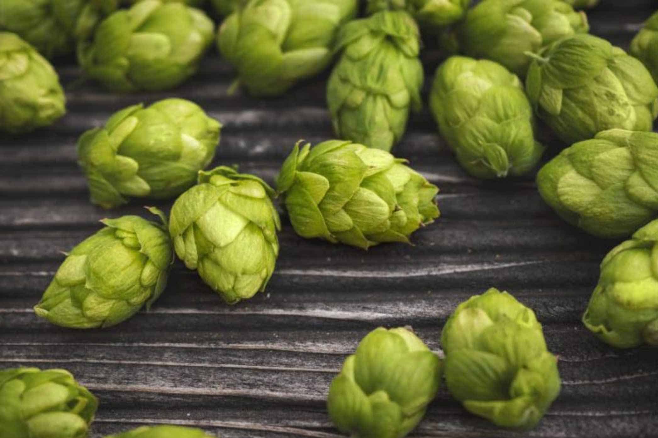 Noble Hops