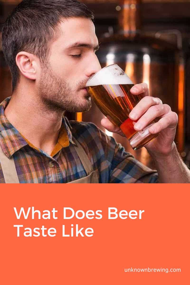 What Does Beer Taste