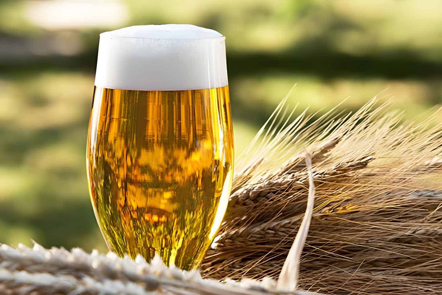 What beer ingredients contain gluten