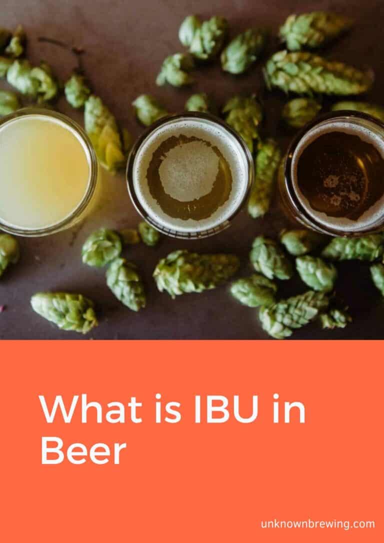 What is IBU in Beer A Guide for Home Brewers and Beer Connoisseurs