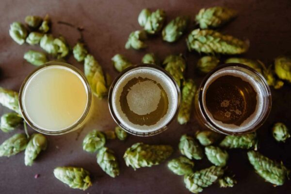 What is IBU in Beer: A Guide for Home Brewers and Beer Connoisseurs