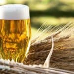 What is Malt in Beer? (Base Malts and Specialty Malts)