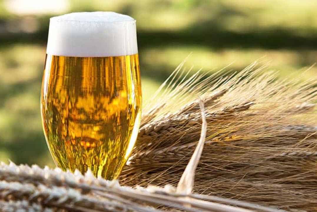 What is Malt in Beer (Base Malts and Specialty Malts)