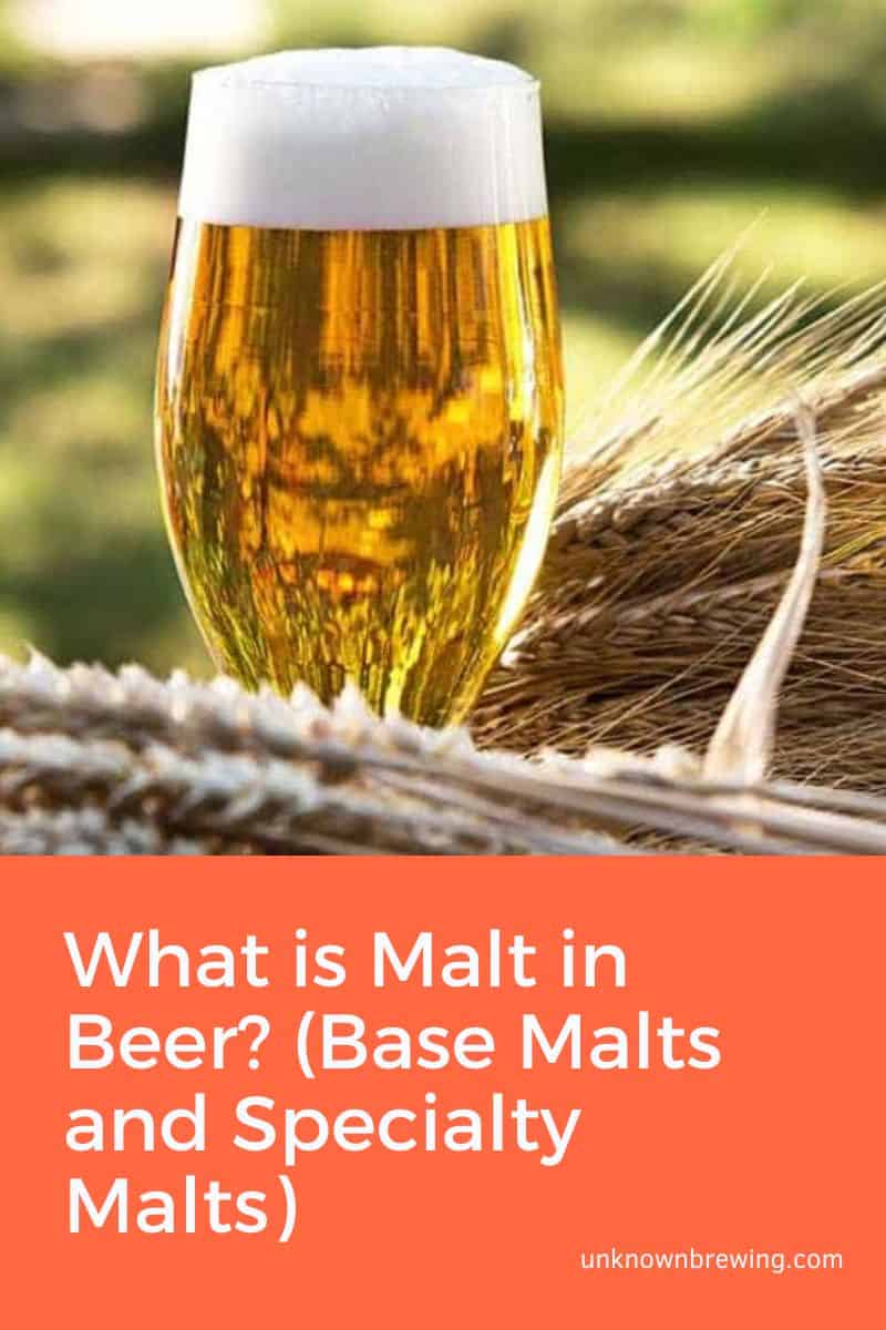 What is Malt in Beer