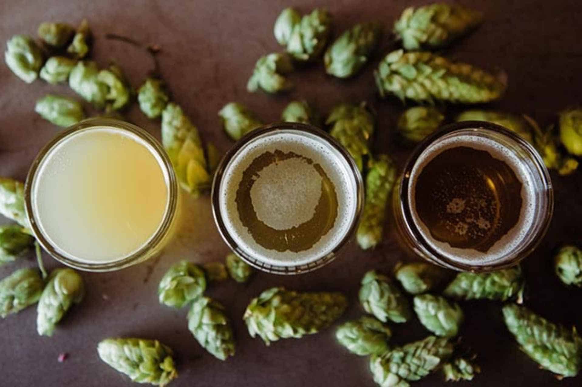 What is the Amount of Hops in Beer