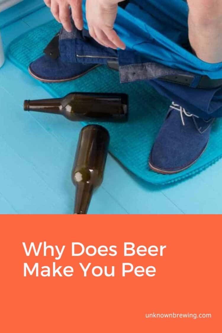 Why Does Beer Make You Pee?