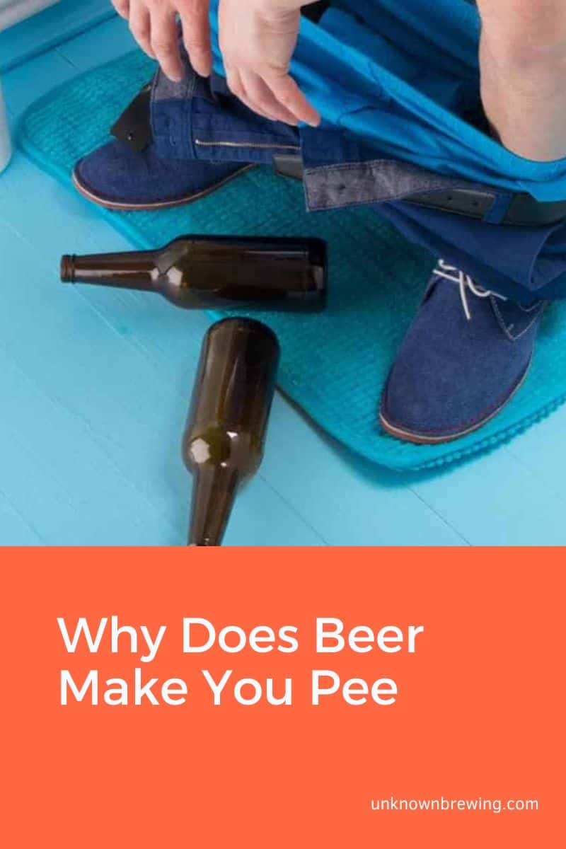 Why Does Beer Make You Pee