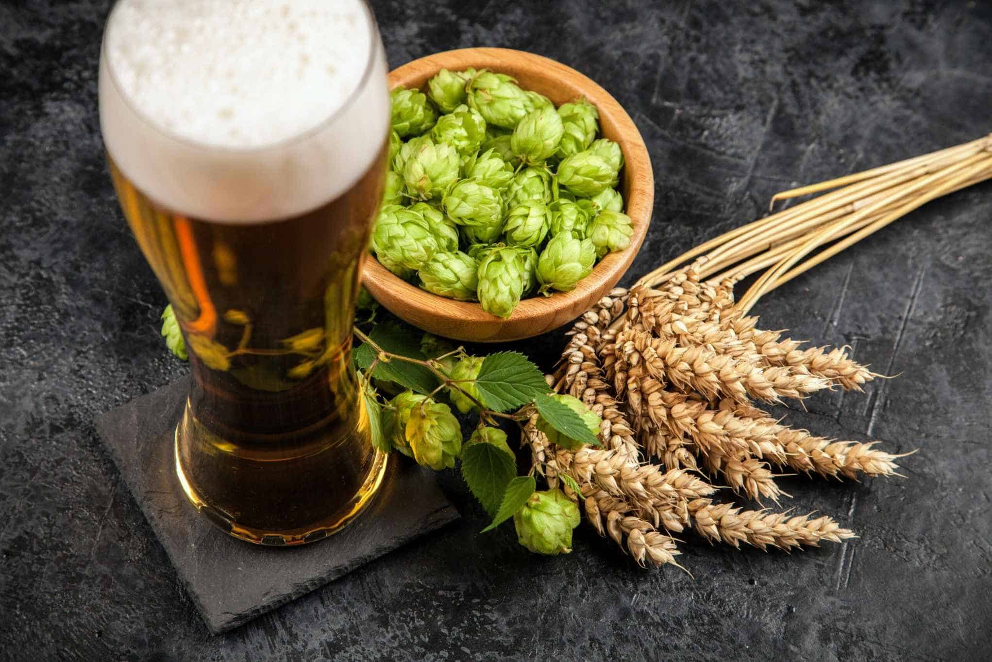 Why are Hops in Beer