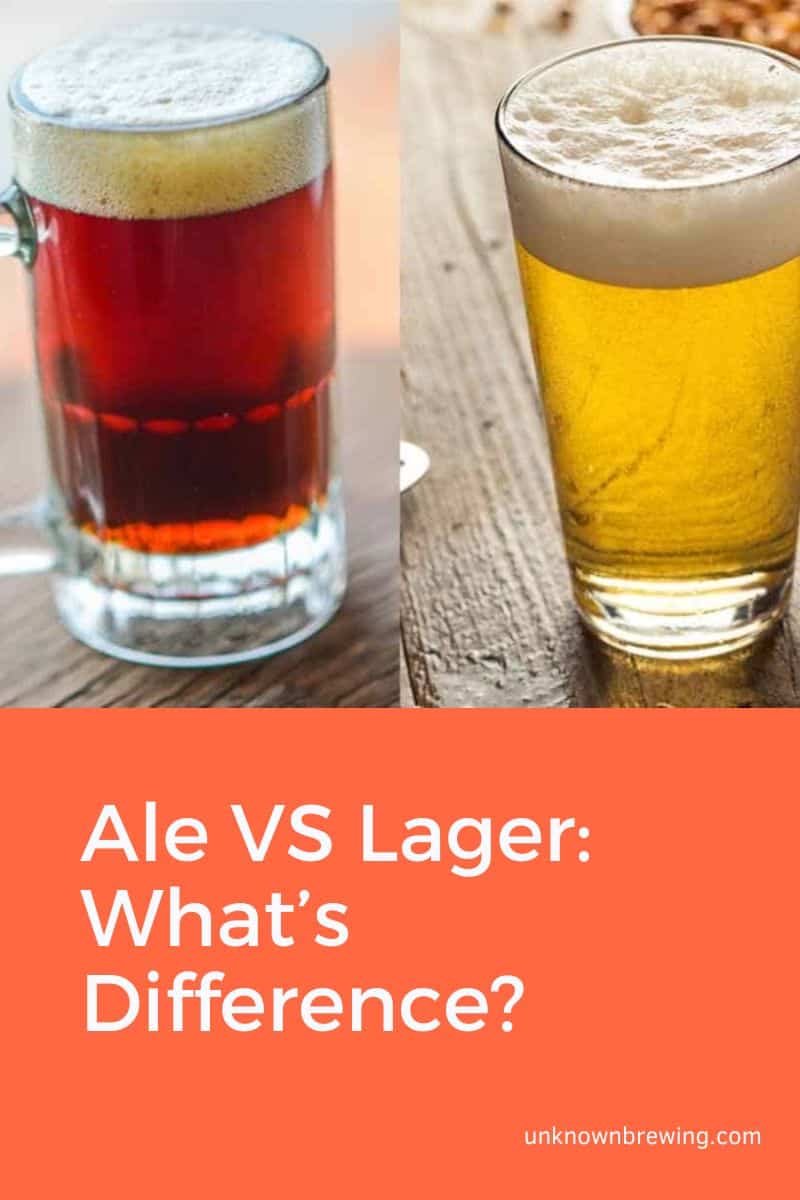 Ale VS Lager What's Difference