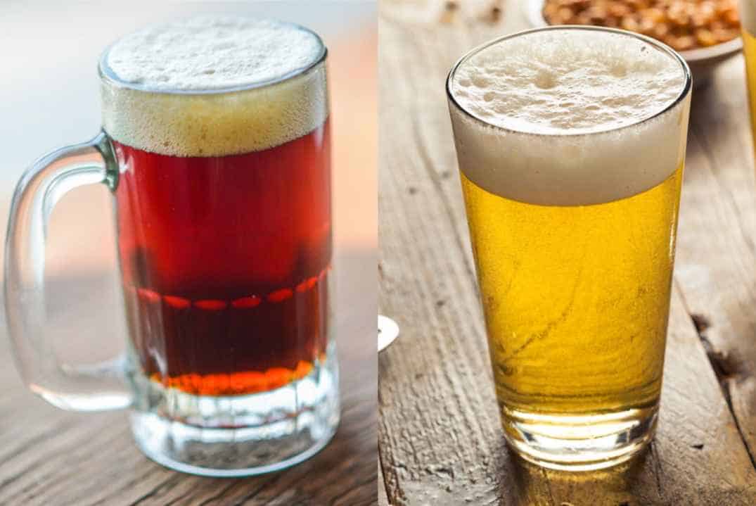 Ale VS Lager What's Difference