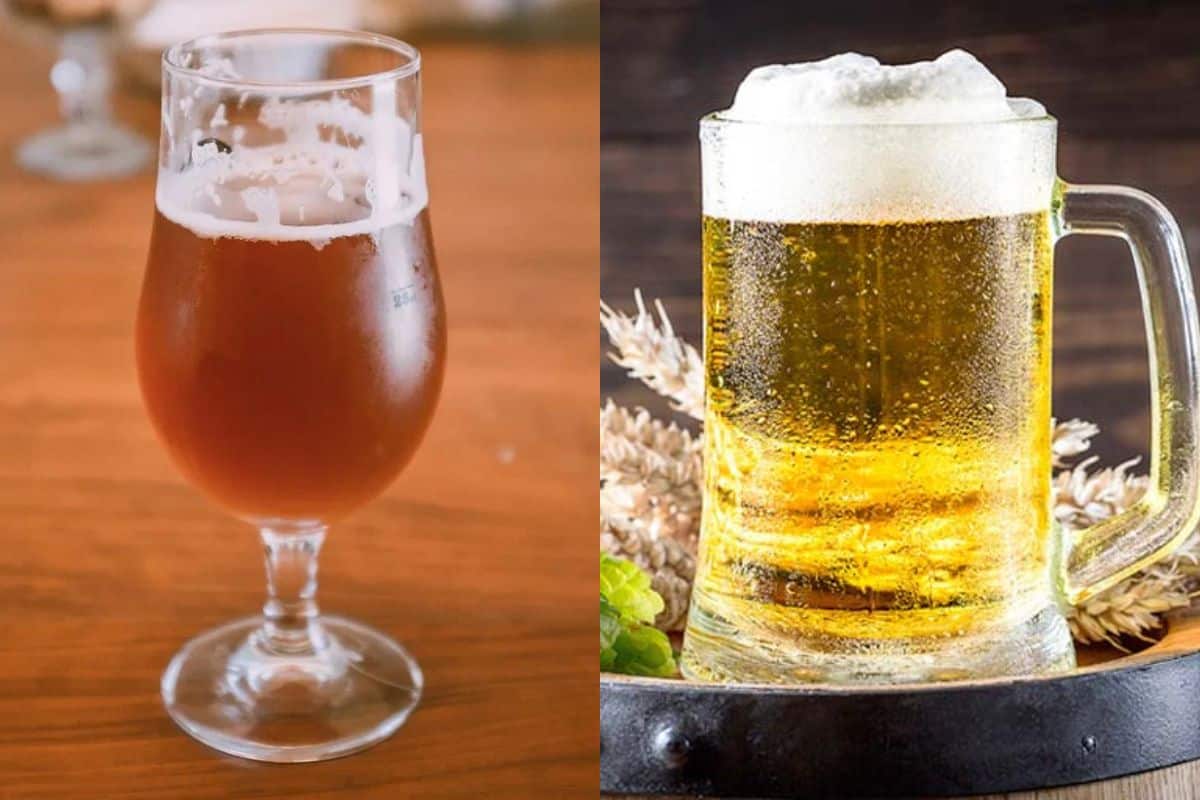 Ales and Lagers How They Are Different