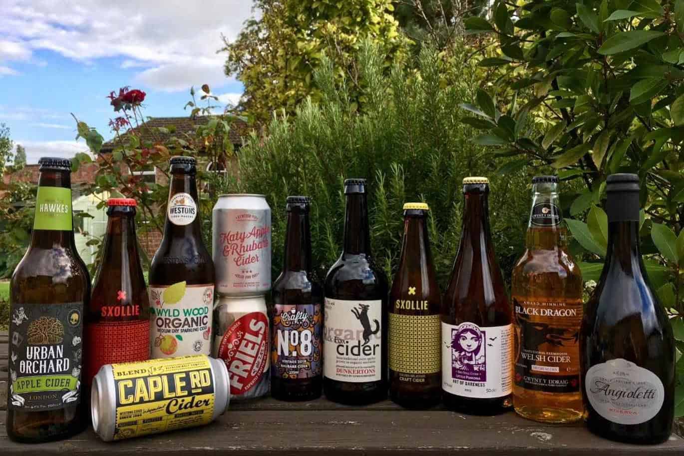 Best Vegan Beers