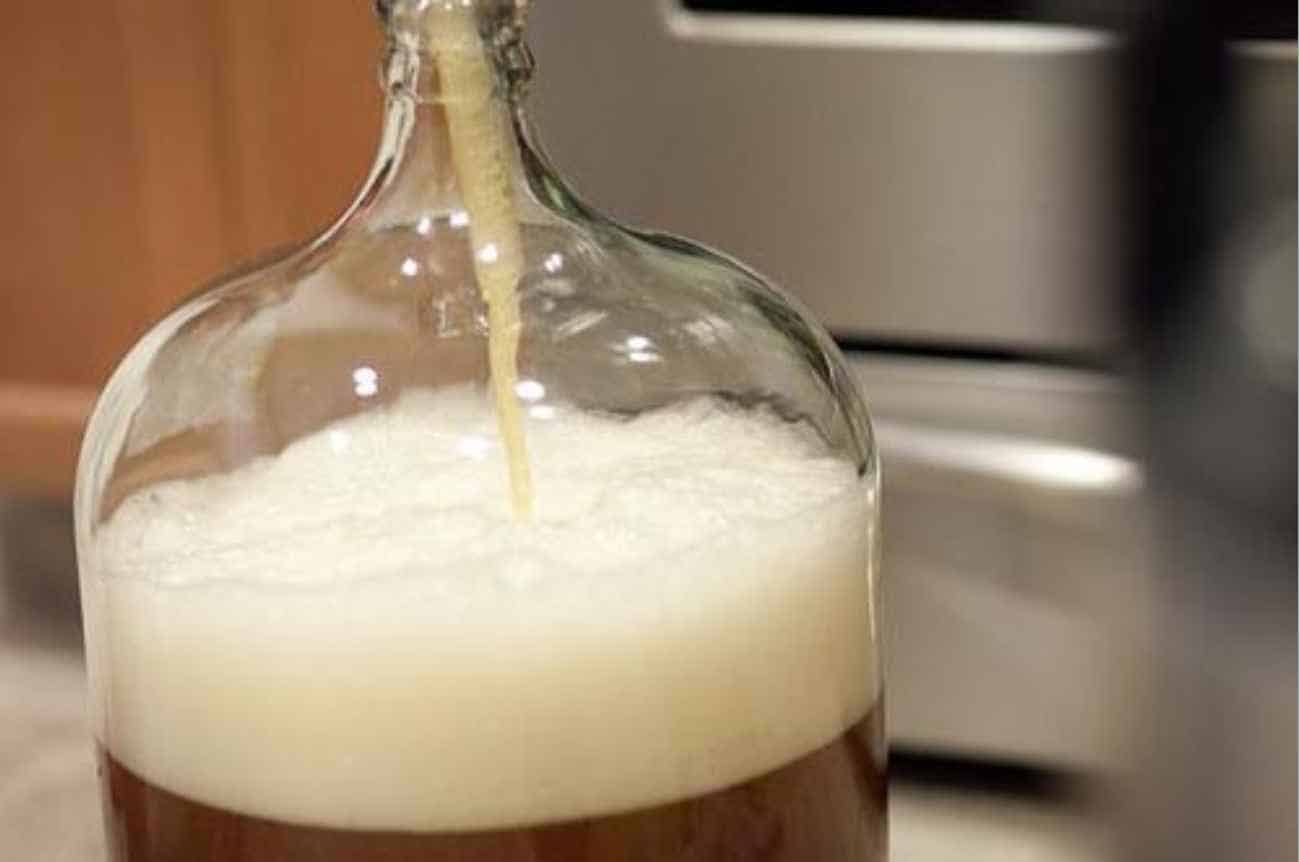 How Does A Yeast Starter Work