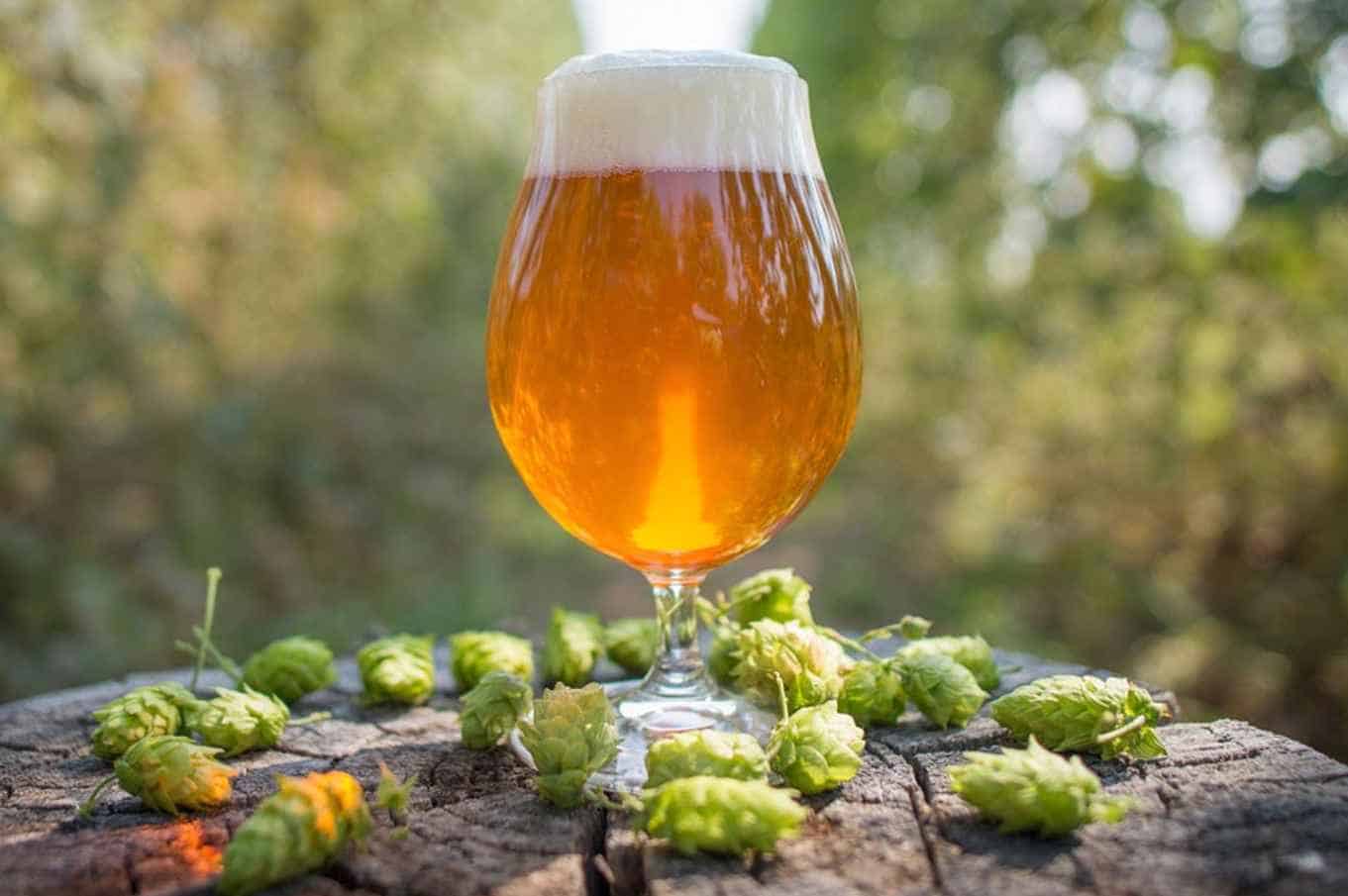 How Much Alcohol is in IPA Beer