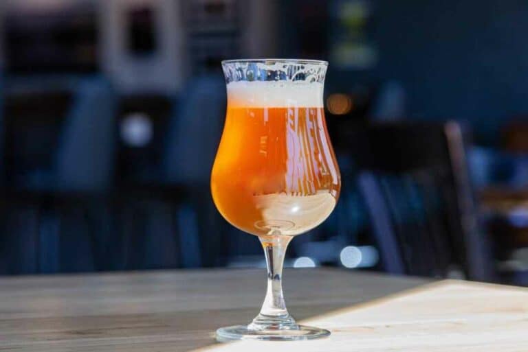 How to Brew Sour Beers? (StepbyStep Guide)