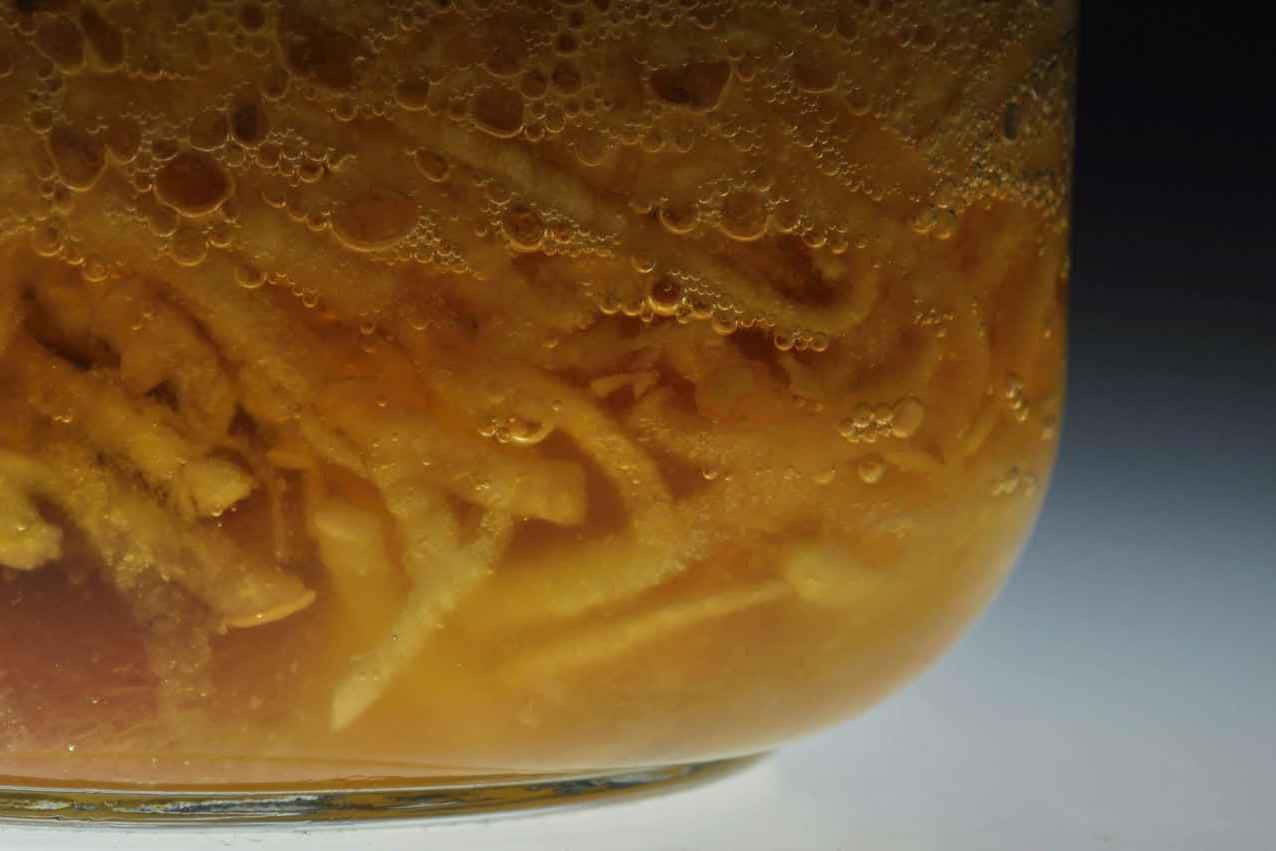 How to condition the yeast using the yeast starter