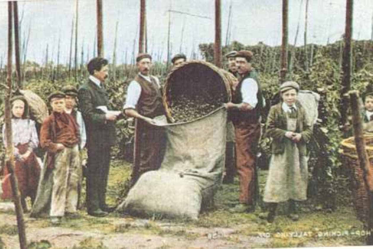 Origin of Saison Beer