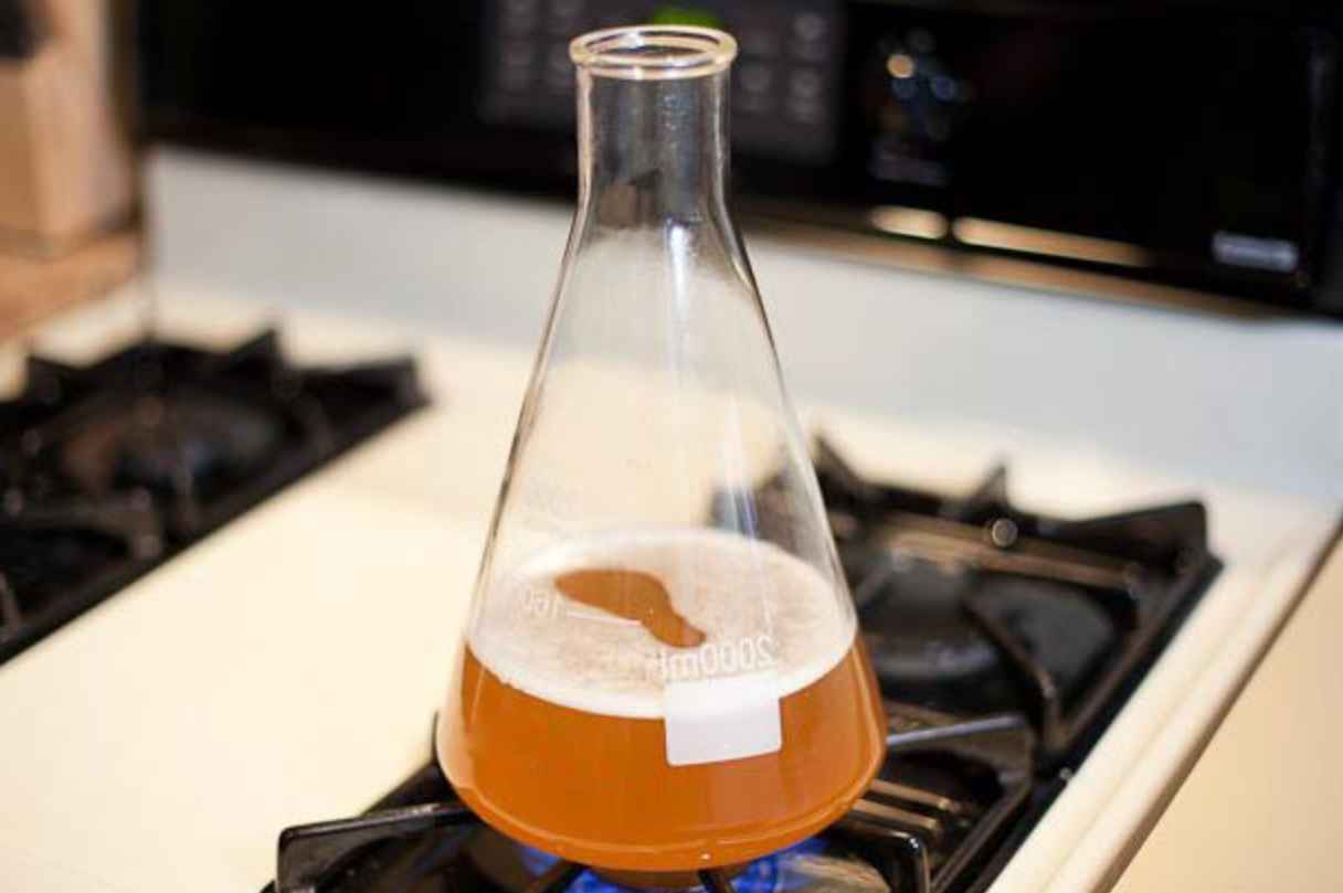 Steps to Make a Yeast Starter