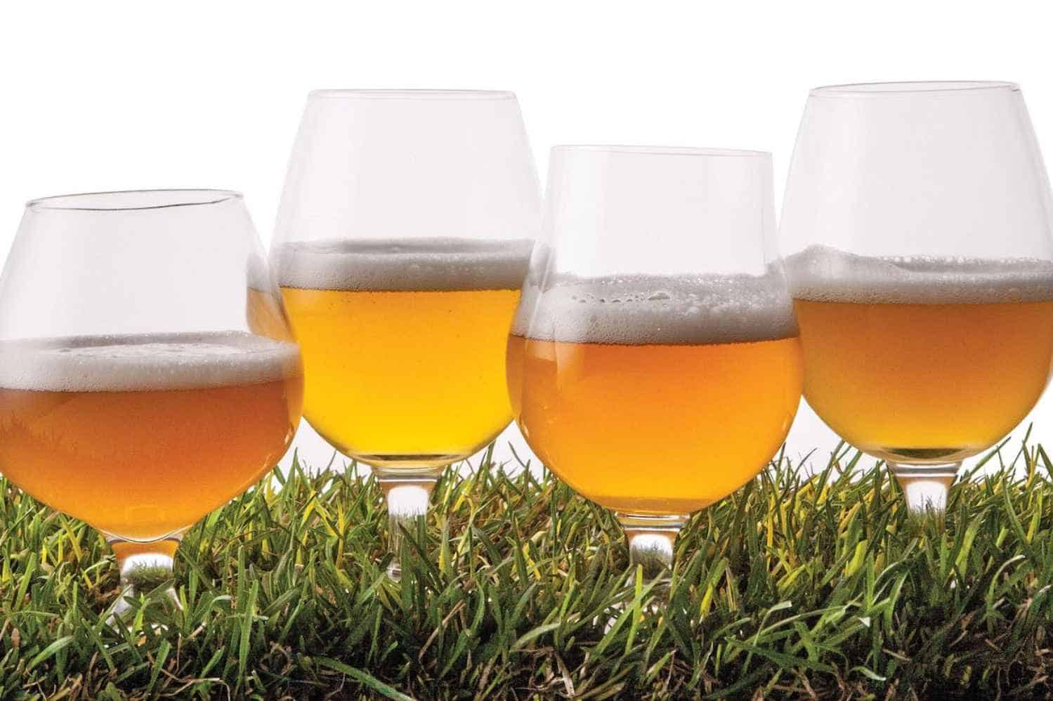 Styles of Saison Beer