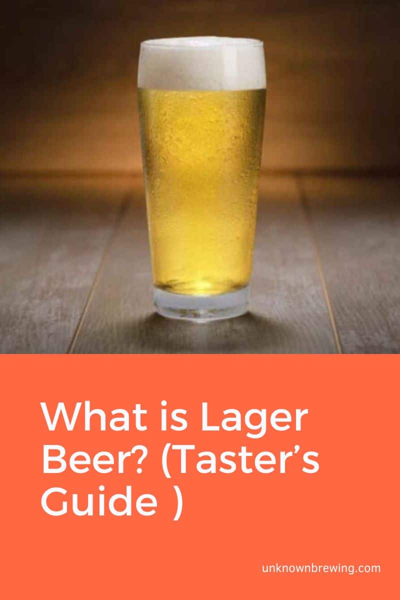 What is Lager Beer (Taster’s Guide )