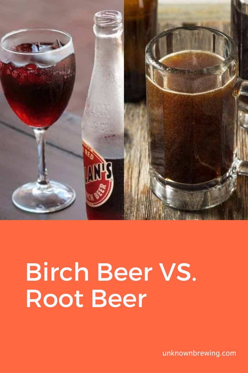 What's the Difference Between Birch Beer and Root Beer