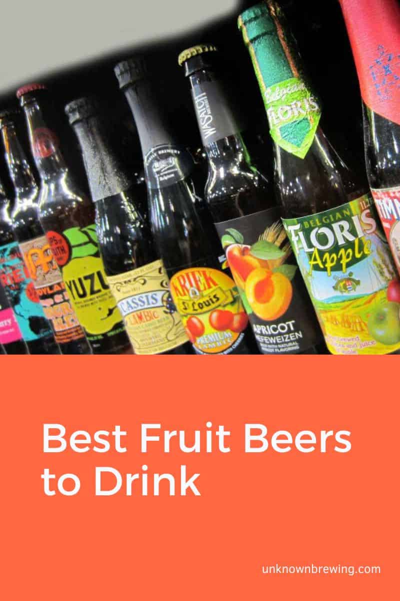 Best Fruit Beers to Drink
