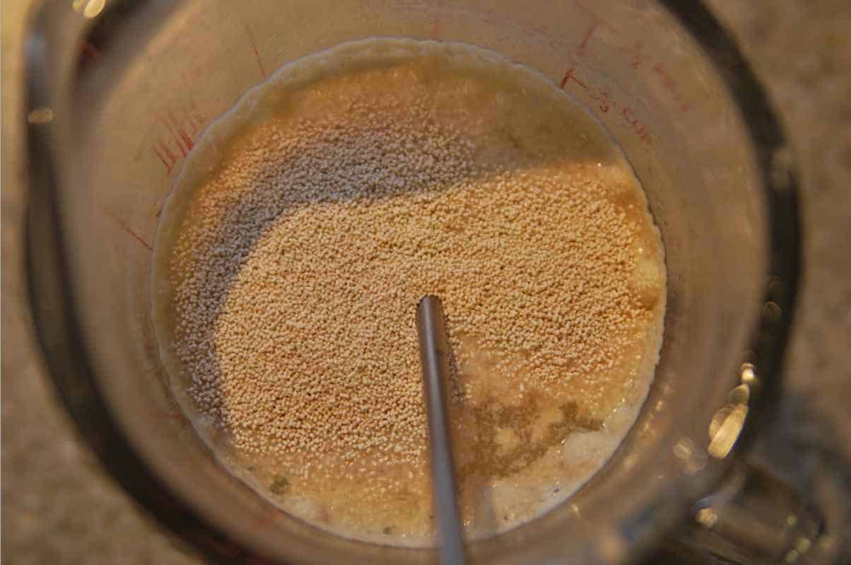 Choose a High-Temperature Yeast Strain