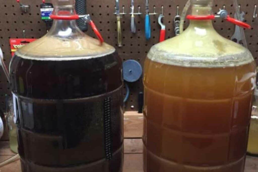 How is Beer Made in 6 Steps?