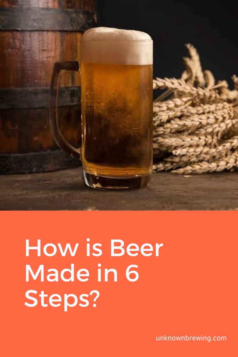 How is Beer Made in 6 Steps