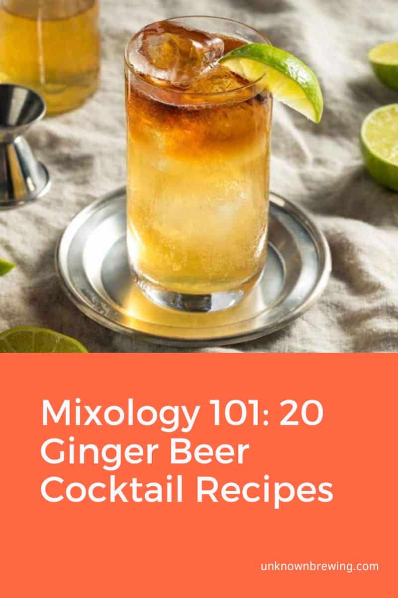 Mixology 101 20 Ginger Beer Cocktail Recipes