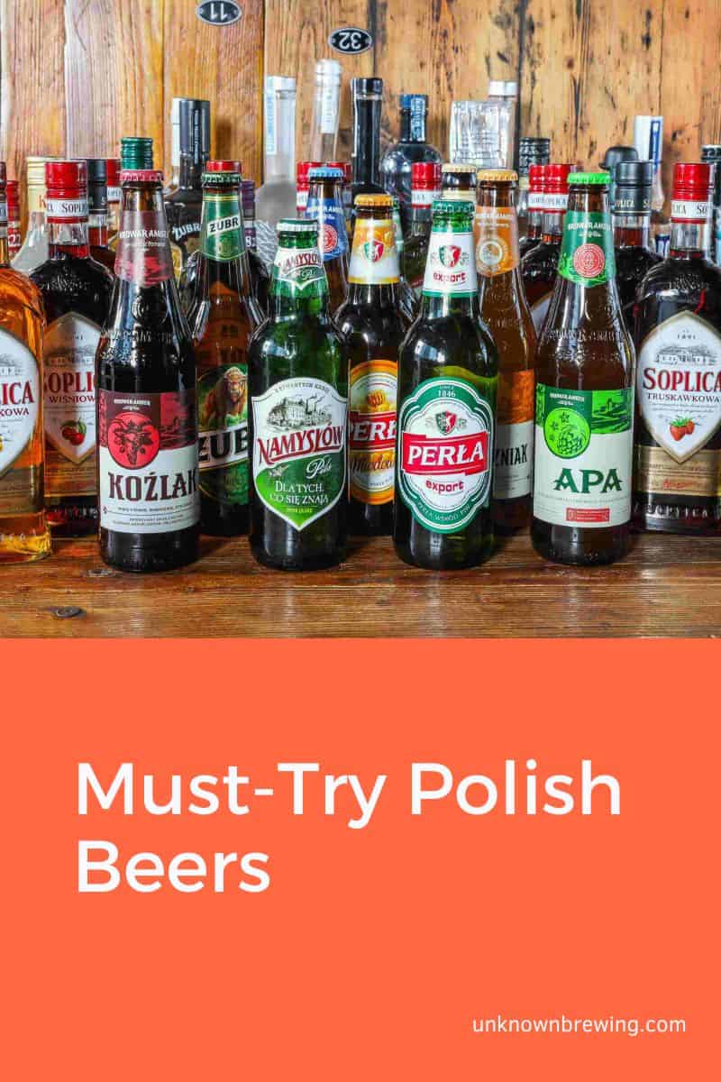 Must-Try Polish Beers for the Ultimate Drinking Experience