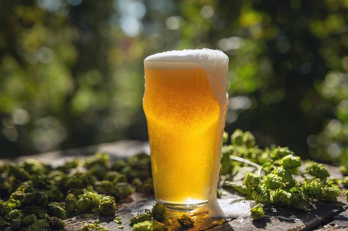 Origin and History of Dry Beer