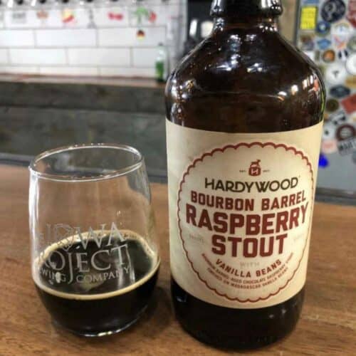 Megaera Raspberry Stout 26 Best Fruit Beers to Drink in 2024