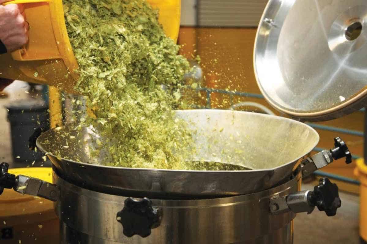 Tips and Tricks for Dry Hopping