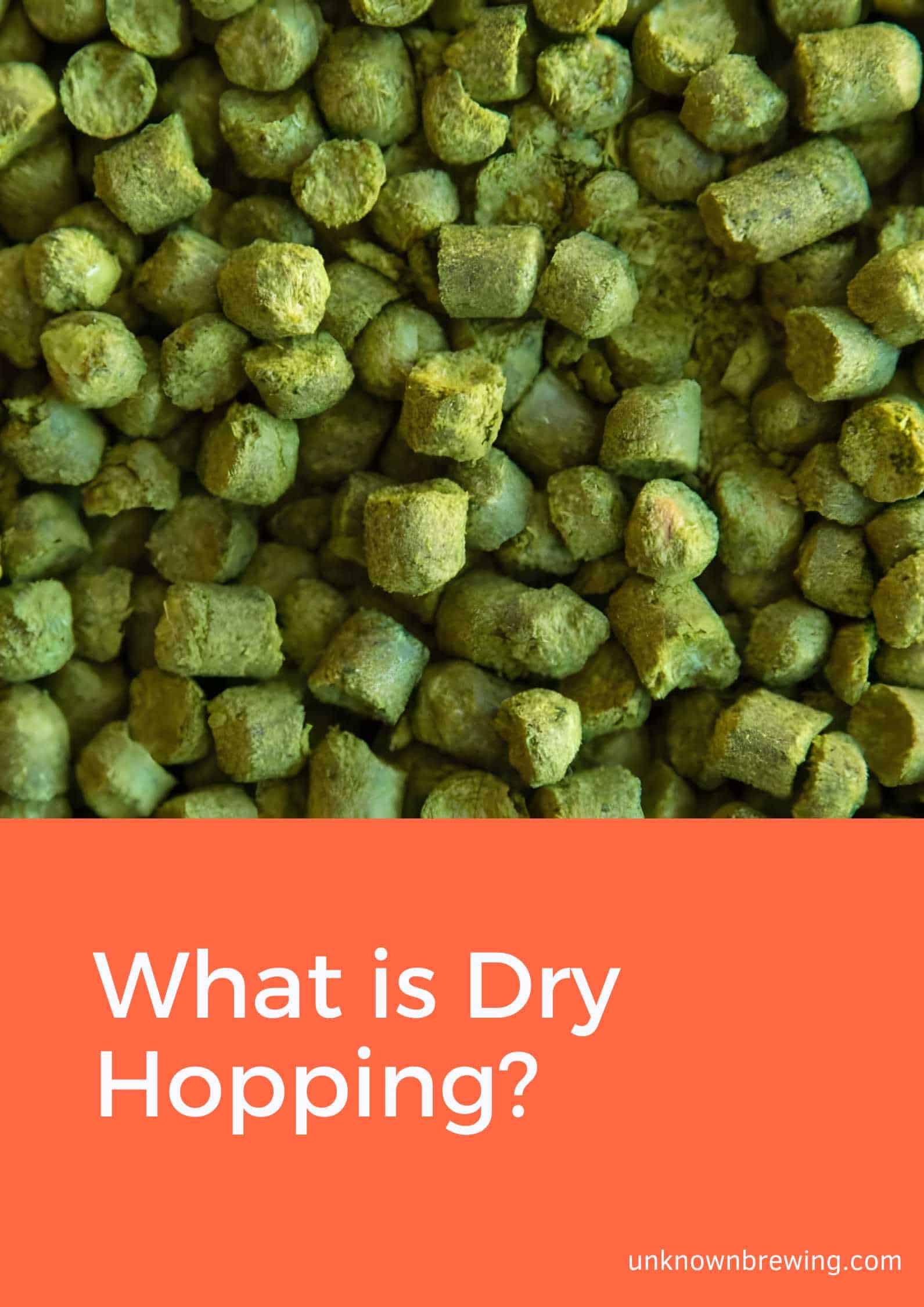 What is Dry Hopping (The Art in Beer Brewing)