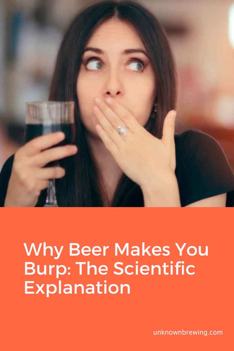 Why Beer Makes You Burp The Scientific Explanation