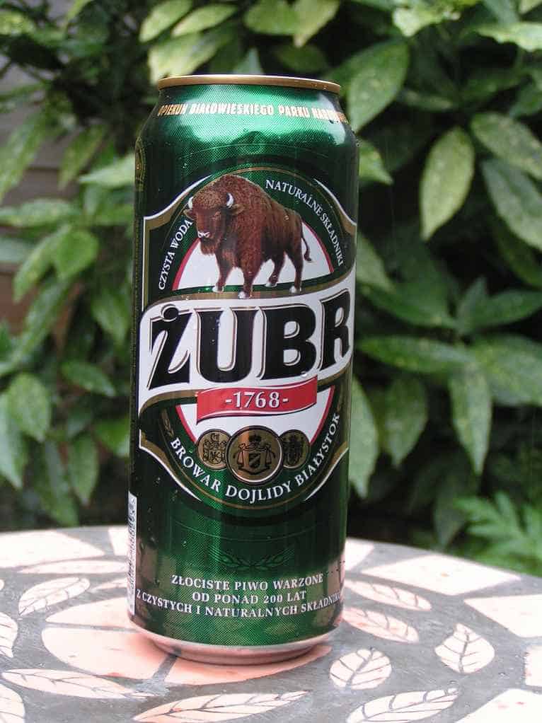 Żubr Polish Lager