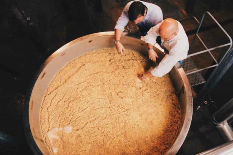 Mastering Mash Temperature The Key to Brewing Success