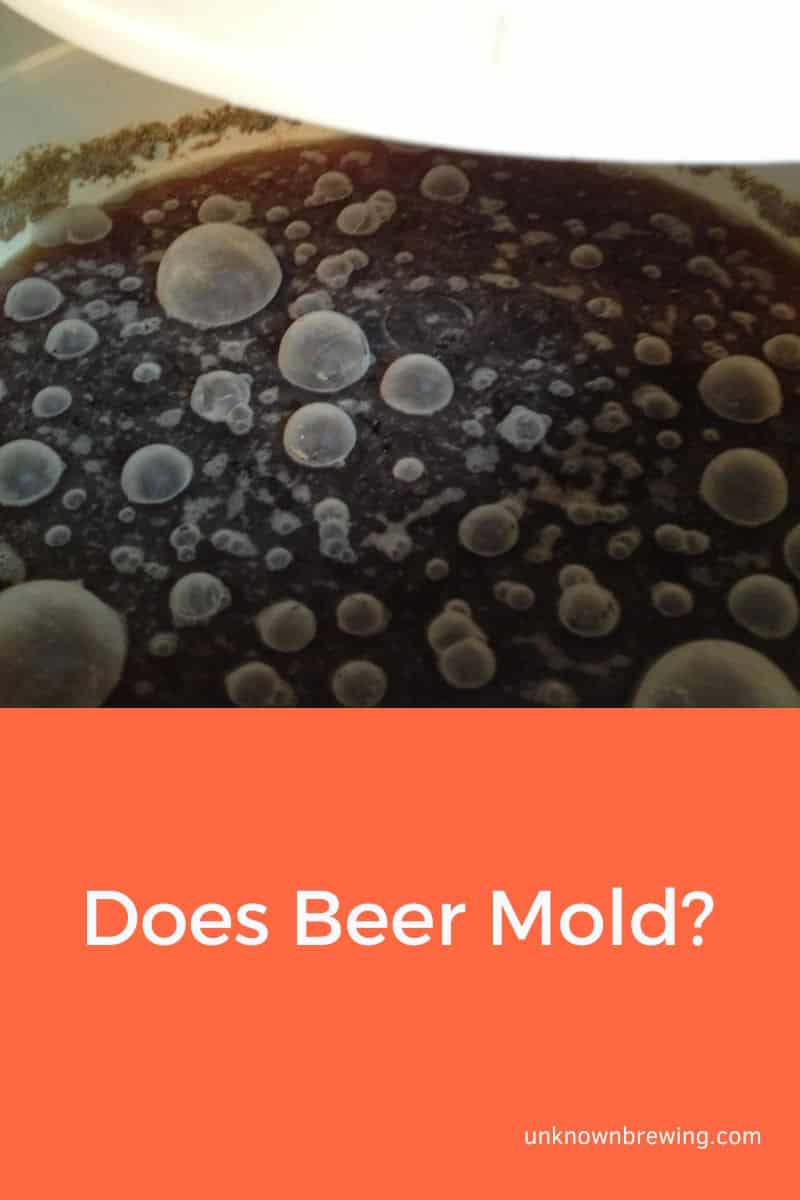 Does Beer Mold (Identifying & Prevention)