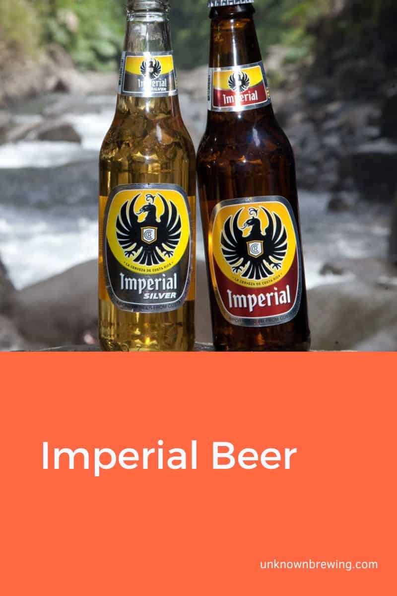 Imperial Beer Decoding Their Unique Characteristics and Styles