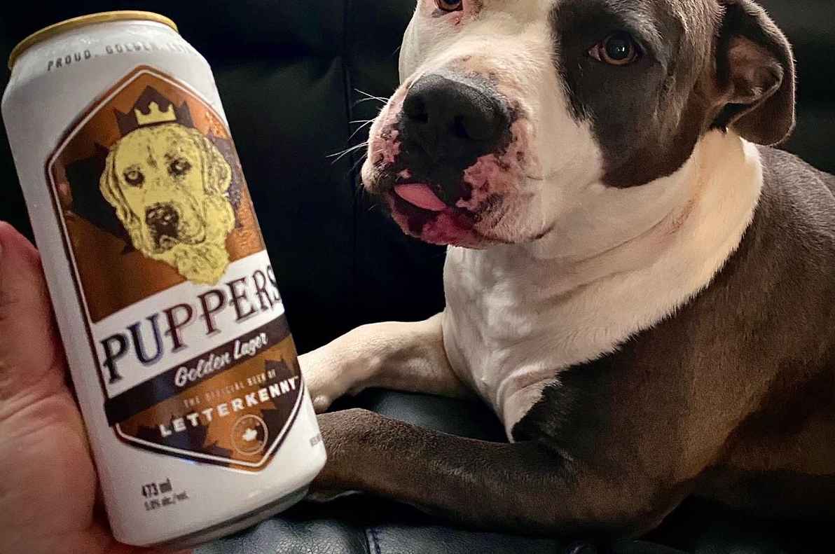Puppers Beer Frequently Asked Questions